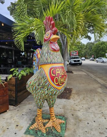Old’s Havana Cuban Bar & Cocina