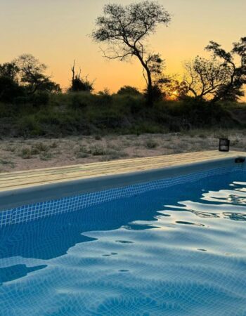Kruger Untamed Tshokwane River Camp