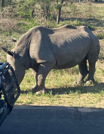 Kruger Shalati – Train on the Bridge & Garden Suites