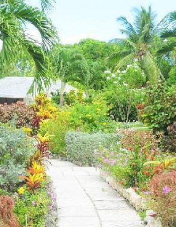 Shades of Barbados