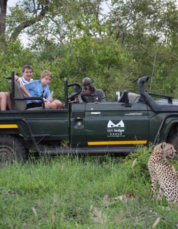 AM Lodge – Hoedspruit