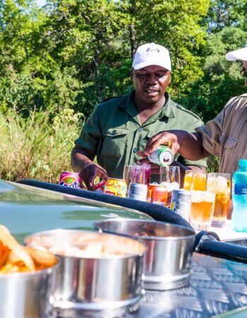 AM Lodge – Hoedspruit