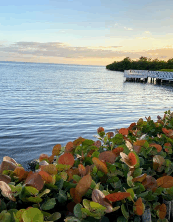 Villa Parguera Hotel, Puerto Rico