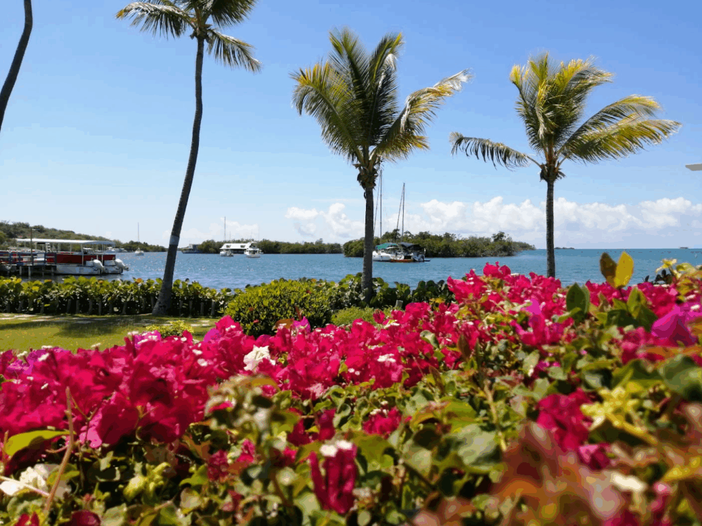 Latino-owned hotel in PR -- Villa Parguera Hotel, Puerto Rico