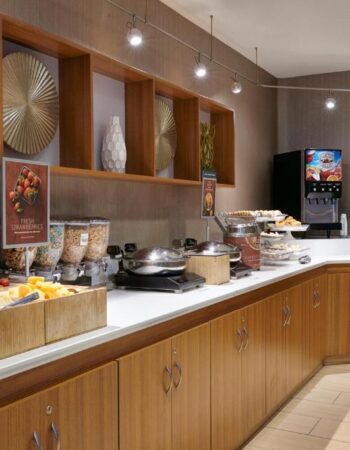 SpringHill Suites Detroit Metro Airport Romulus
