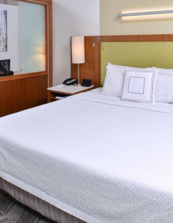 SpringHill Suites Detroit Metro Airport Romulus