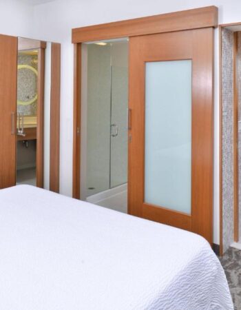 SpringHill Suites Detroit Metro Airport Romulus