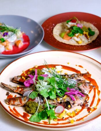 AltaToro, Pan Latin Flavors