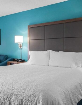 Hampton Inn, Douglas, Georgia