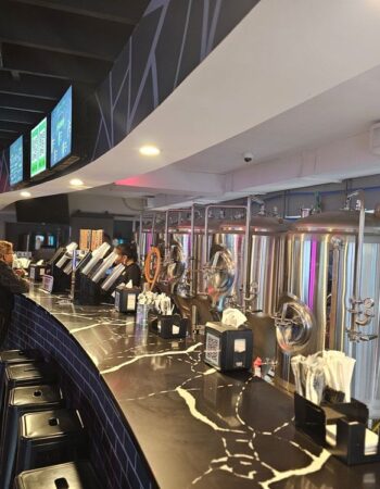 Hippin Hops Brewpub & Oyster Bar, Atlanta
