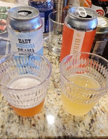 Hippin Hops Brewpub & Oyster Bar, Atlanta