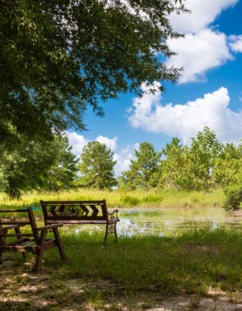 Langetree Duckfarm Retreat & Eco Center: Liberty, Texas
